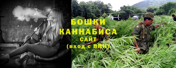 стаф Михайлов