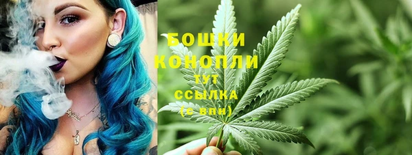 стаф Михайлов