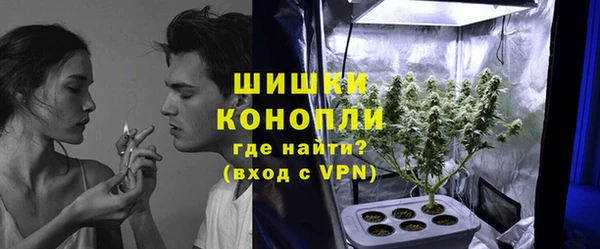 стаф Михайлов