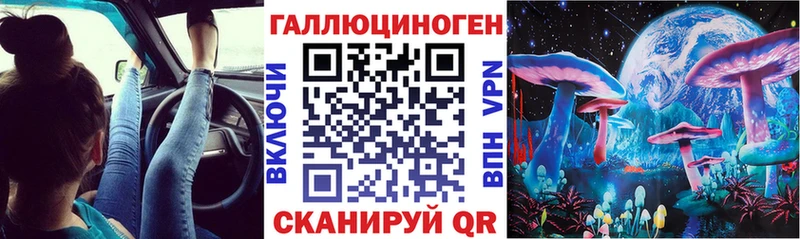 Купить где  Нестеров  Галлюциногенные грибы Cubensis 